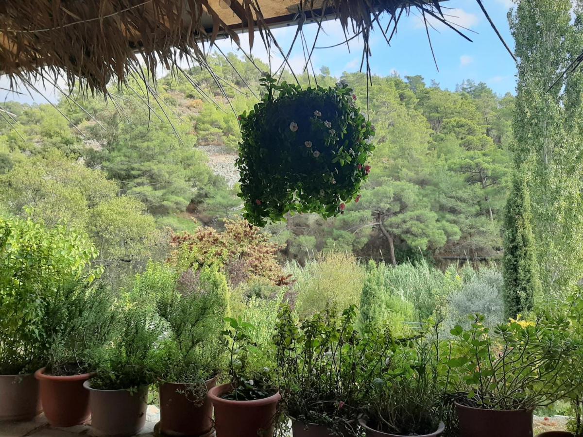 Blue Cottage Apsiou Екстериор снимка