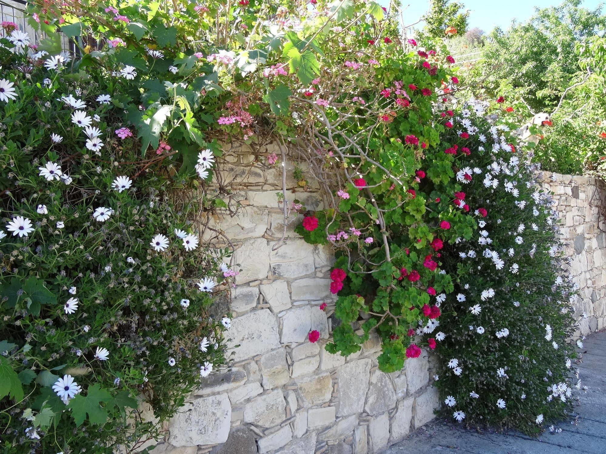 Blue Cottage Apsiou Екстериор снимка